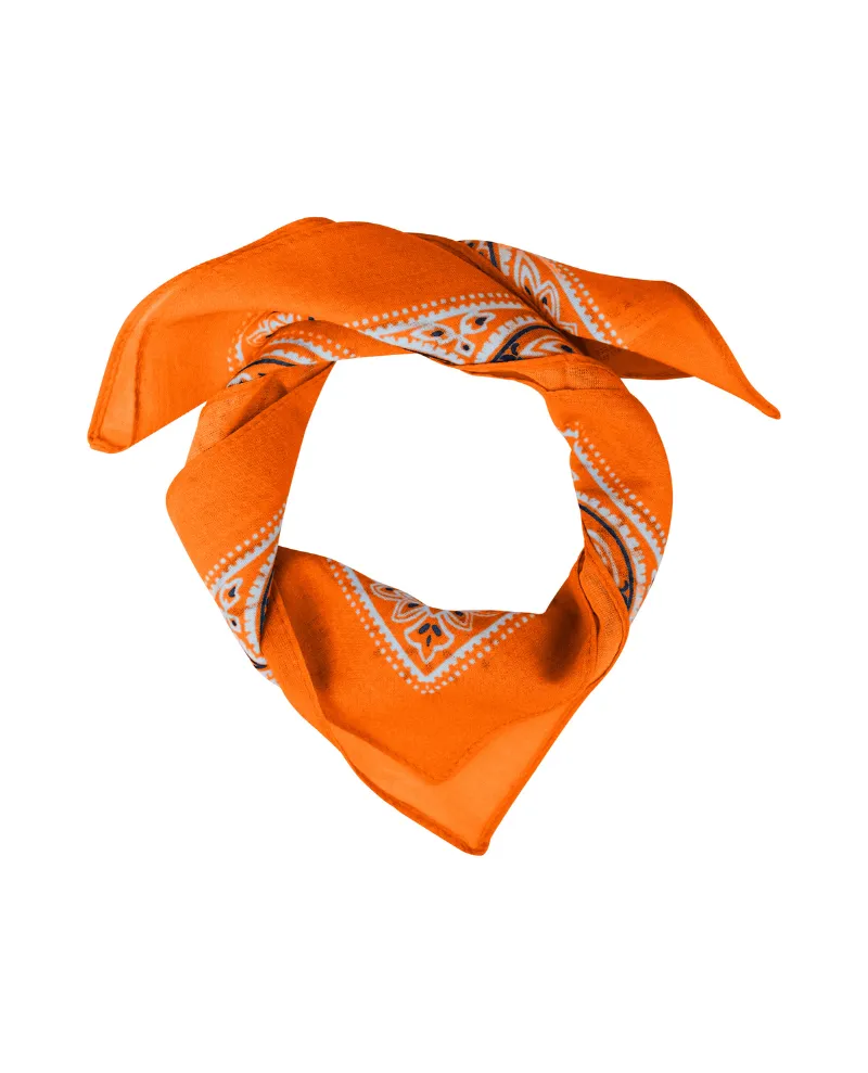 Ichi Samiran Persimmon Orange Scarf