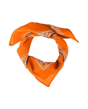 Ichi Samiran Persimmon Orange Scarf