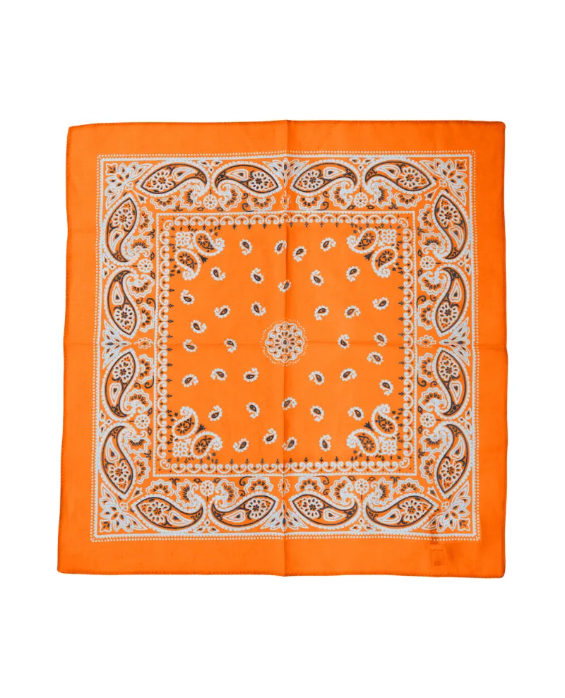 Ichi Samiran Persimmon Orange Scarf